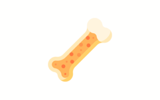 Bone Image