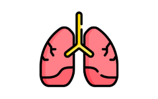 Lungs Image