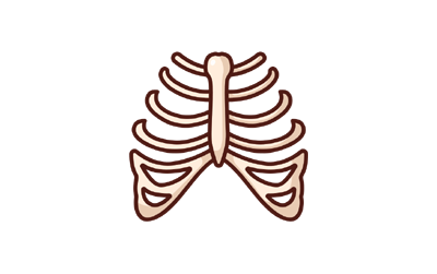 [PPT] Intercostal Muscles PPT Slide (Presentation)