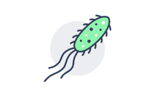 Single Bacteria Image
